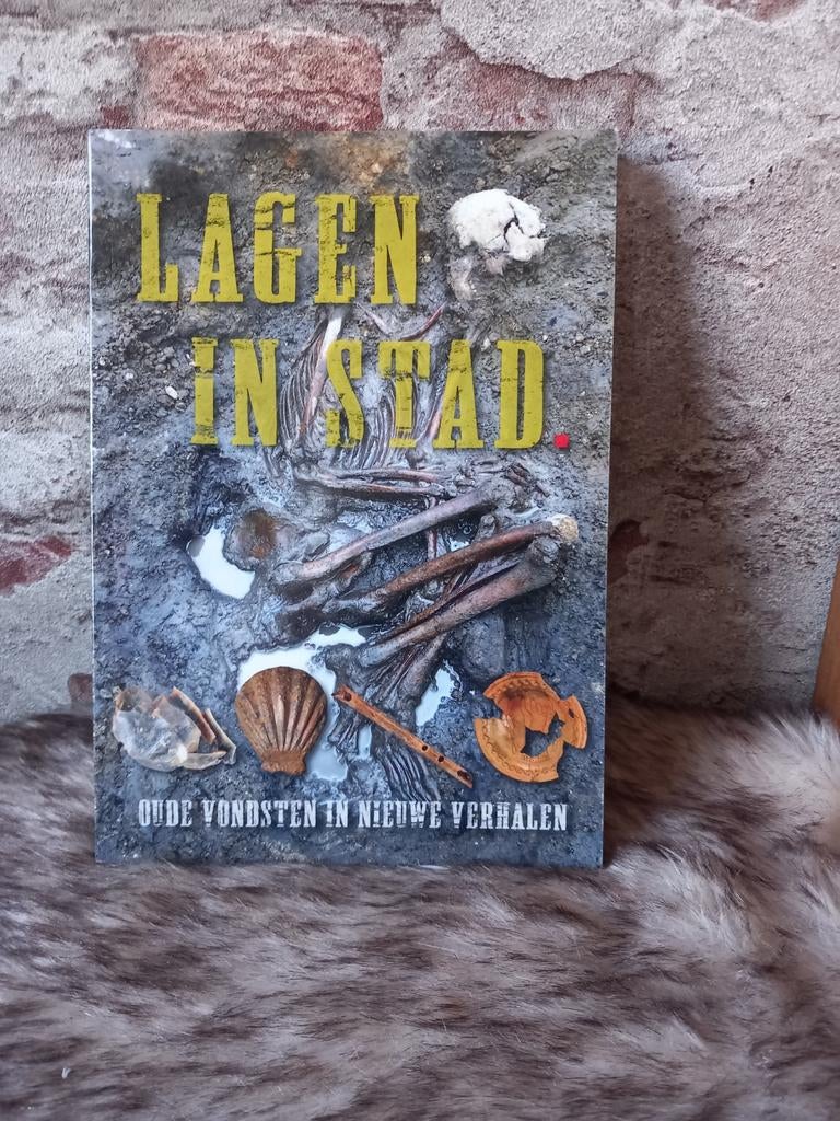 Lagen in stad metaaldetector  vondsten nieuw boek, Ophalen of Verzenden, Nieuw