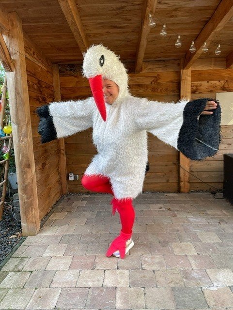 mascotte pak ooievaar te huur voor slechts 15 euro en meer.., Hobby en Vrije tijd, Feestartikelen | Verhuur, Ophalen of Verzenden