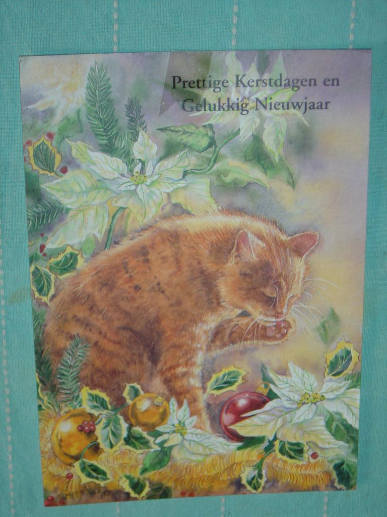13) Kleuren ansichtkaart  Poes, Ophalen of Verzenden, 1980 tot heden, Gelopen, Hond of Kat