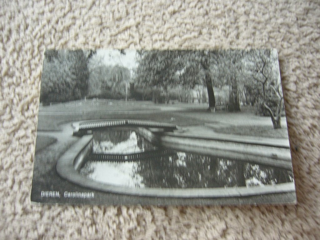DIEREN  =  CAROLINAPARK, Ophalen of Verzenden, 1940 tot 1960, Gelopen, Gelderland