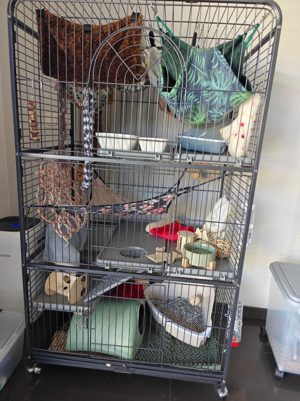 4 tamme ratten incl veel accessoires en grote kooi, Rat, Mannelijk, December, Tam