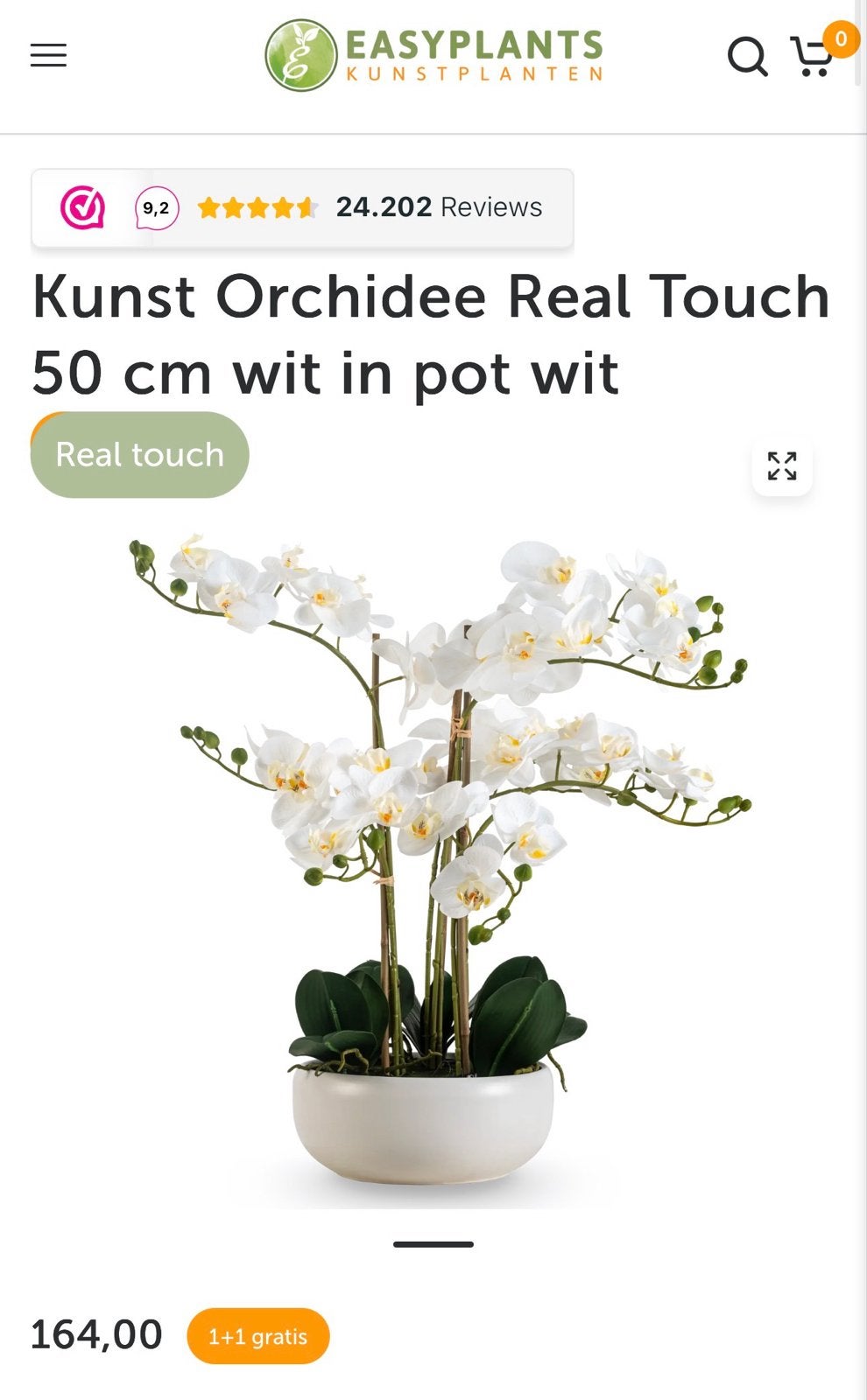 Witte kunst Orchidee Nieuw, Overige soorten, Volle zon, Vaste plant, Ophalen of Verzenden