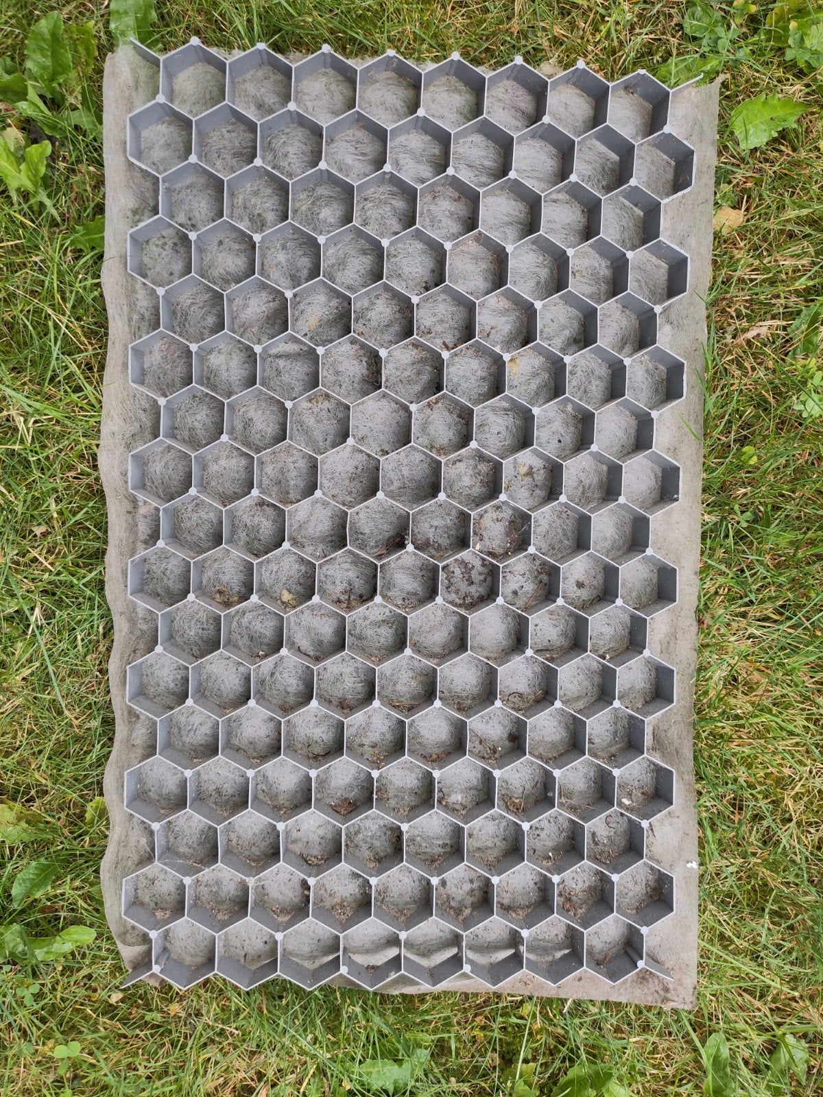 Grasdal 64 bij 40 cm voor grind of  een groen en stevig oppe, Ophalen of Verzenden, Gebruikt, Minder dan 10 m², Gras