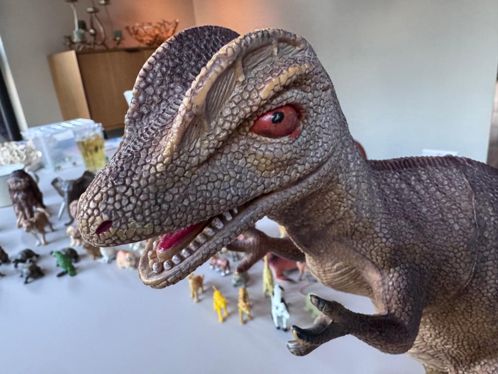 Grote collectie speelgoed dieren en dinosaurussen, Ophalen of Verzenden, Gebruikt, Jongen of Meisje