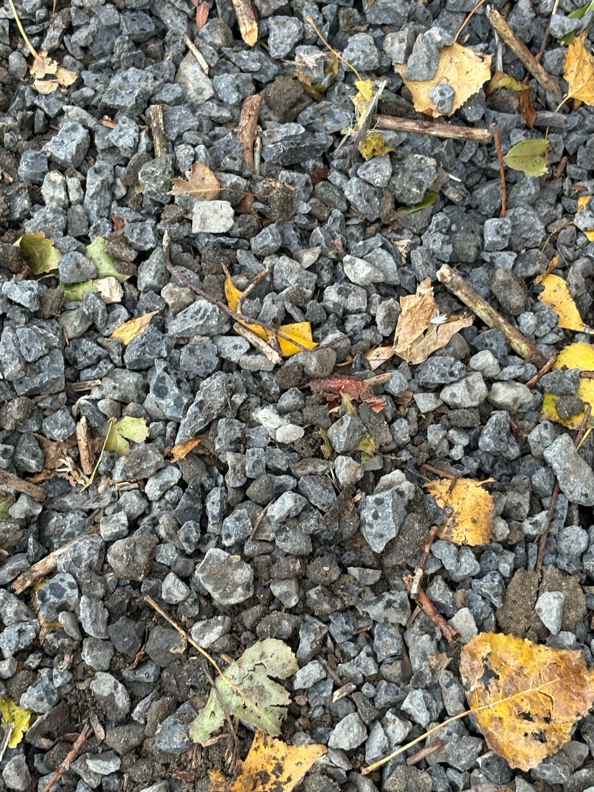 Grind voor tuin of oprit zelf opscheppen, Ophalen, Gebruikt, Grijs, Grind