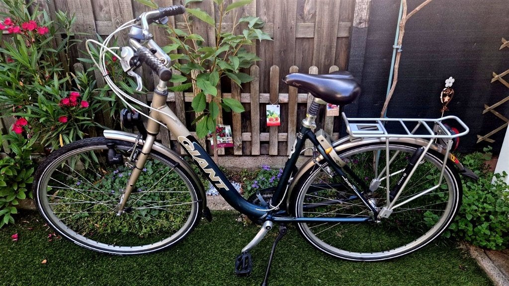 Giant nette damesfiets, Fietsen en Brommers, Versnellingen, Ophalen, Overige merken, 53 tot 56 cm