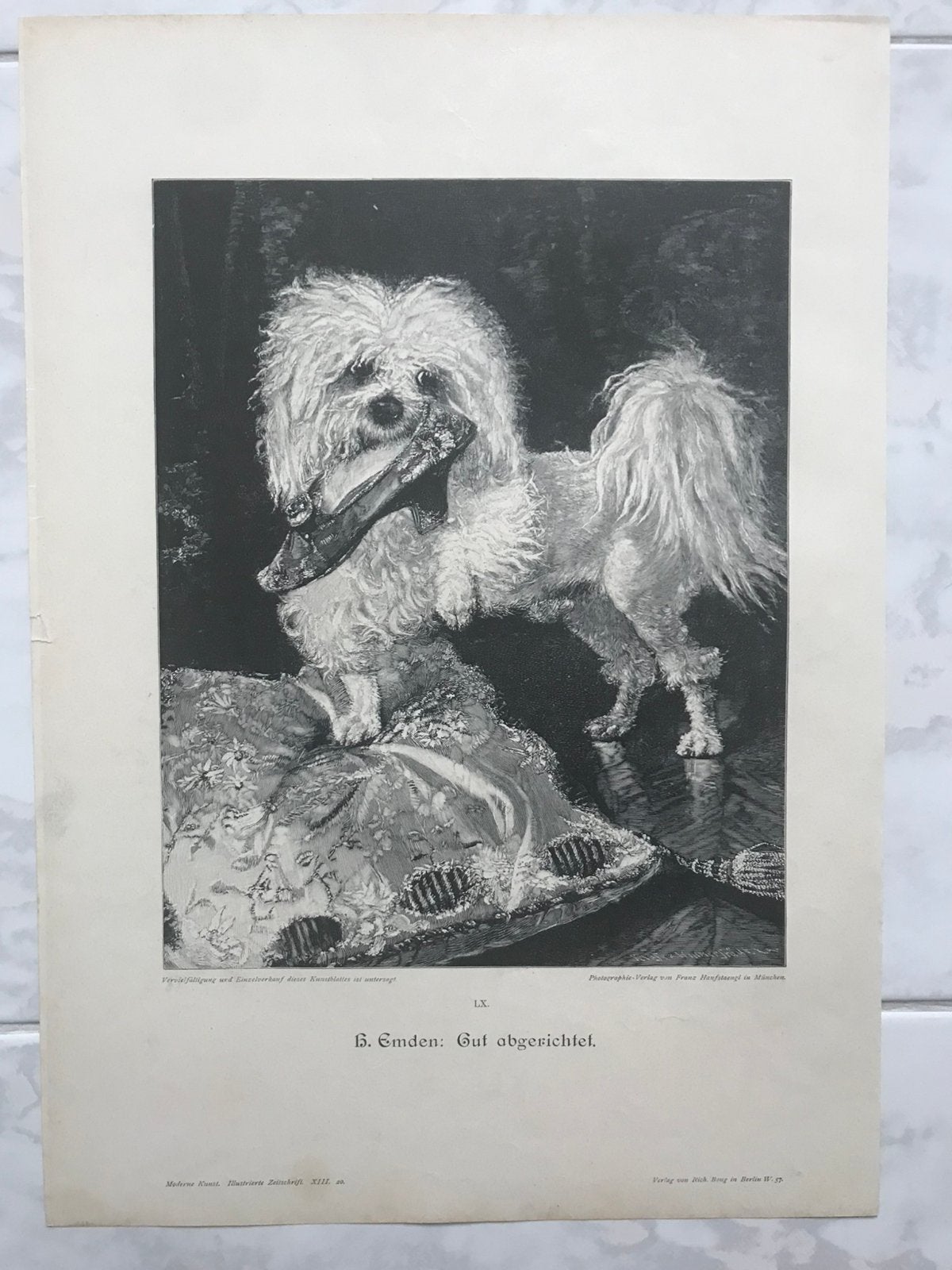 H. Emden: Gut abgerichtet, 1899, or. gravure, 31x26cm. Mooi!, Origineel, 31 cm, Portret, Ophalen of Verzenden