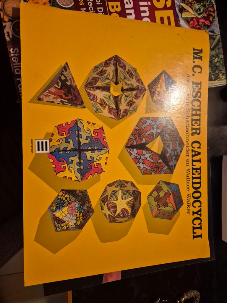M.C. Escher: Caleidocycli - Kunst en Geometrie, Ophalen of Verzenden, Gelezen, Overige onderwerpen, M.C. Escher, Doris Schattschneider, Wallace Walker
