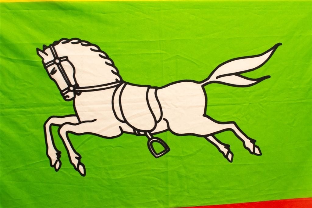 Vlag van Zuidlaren 39581, Ophalen of Verzenden, Gebruikt