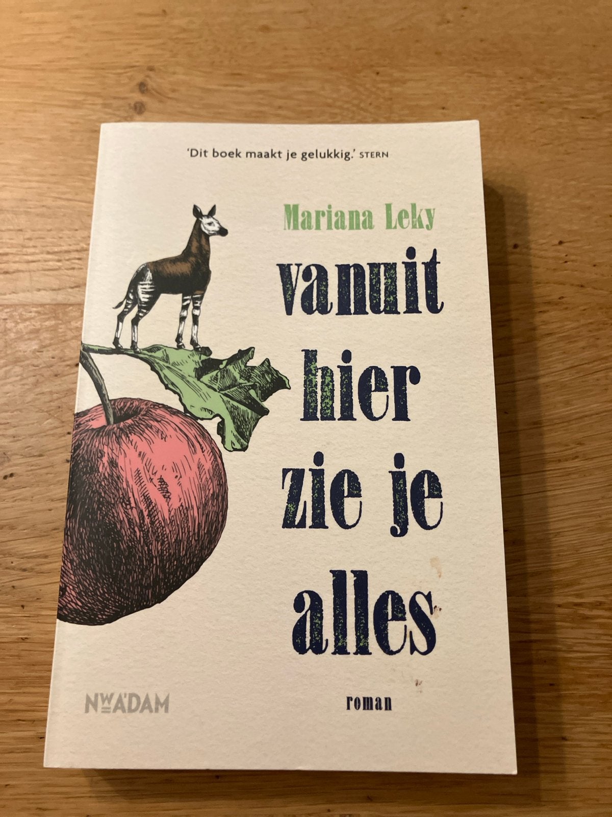 Mariana Leky - Vanuit hier zie je alles, Ophalen of Verzenden, Zo goed als nieuw, Mariana Leky