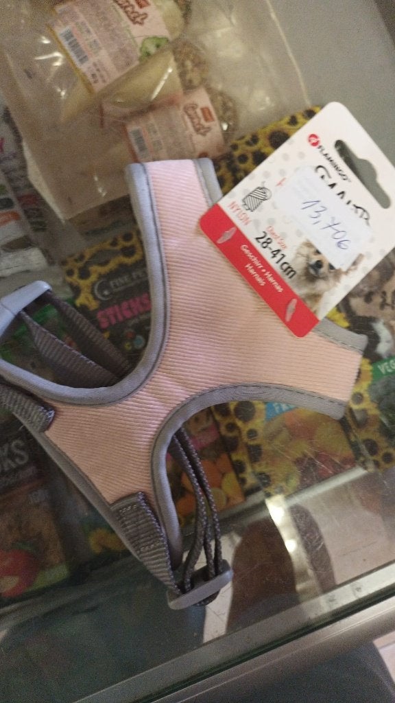 tuigje voor chihuahua/kleine hond, Ophalen of Verzenden, Zo goed als nieuw, Hondentuig