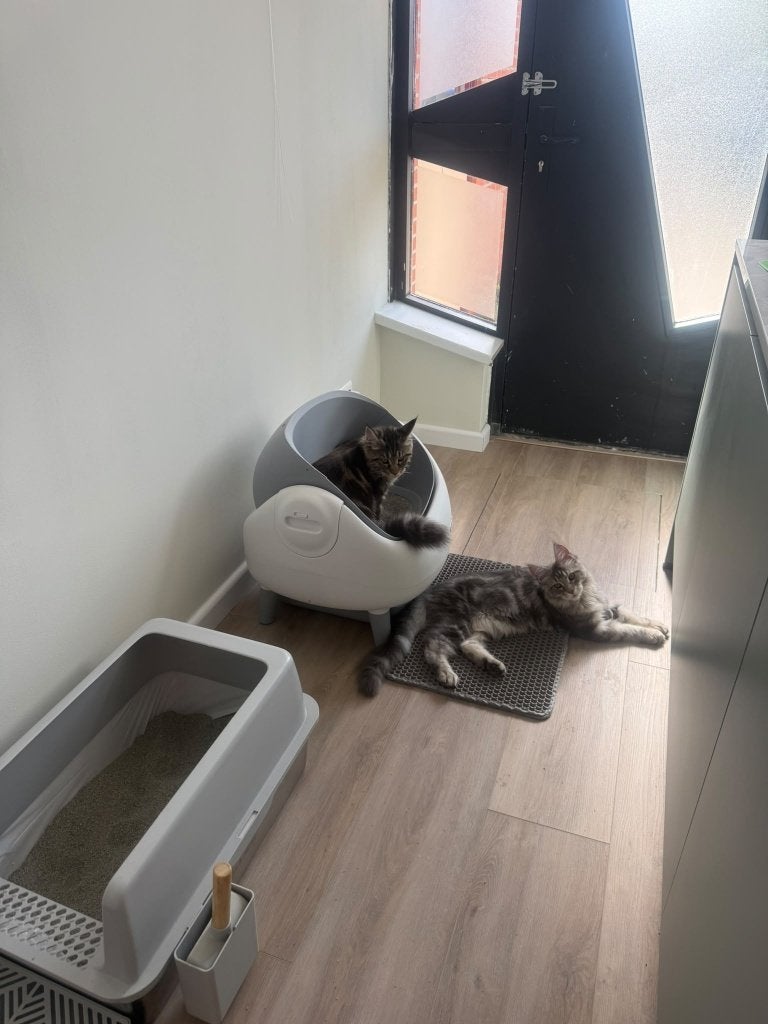 Automatische kattenbak, Dieren en Toebehoren, Ophalen, Zelfreinigend, Zo goed als nieuw, Open