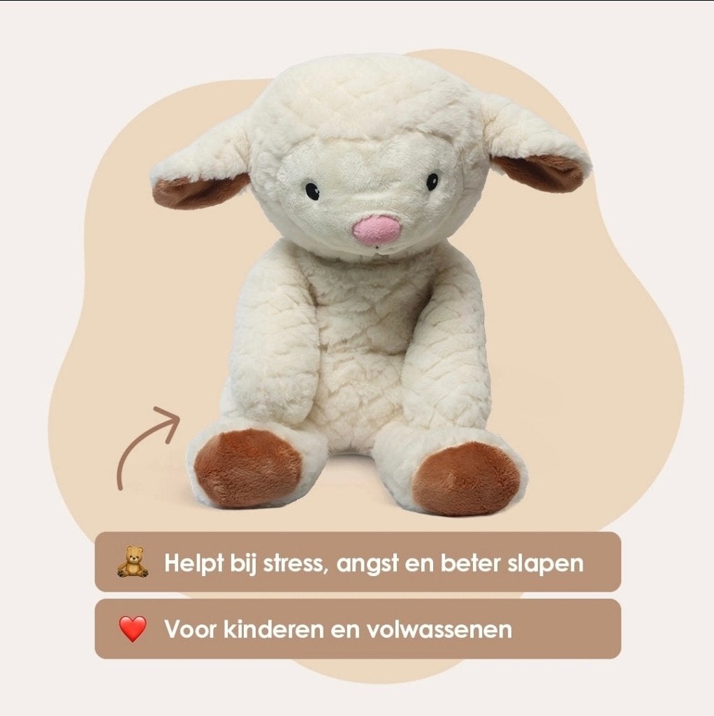 Lotgenootje schaap, Kinderen en Baby's, Speelgoed | Knuffels en Pluche, Overige merken, Overige karakters, Nieuw, Ophalen of Verzenden