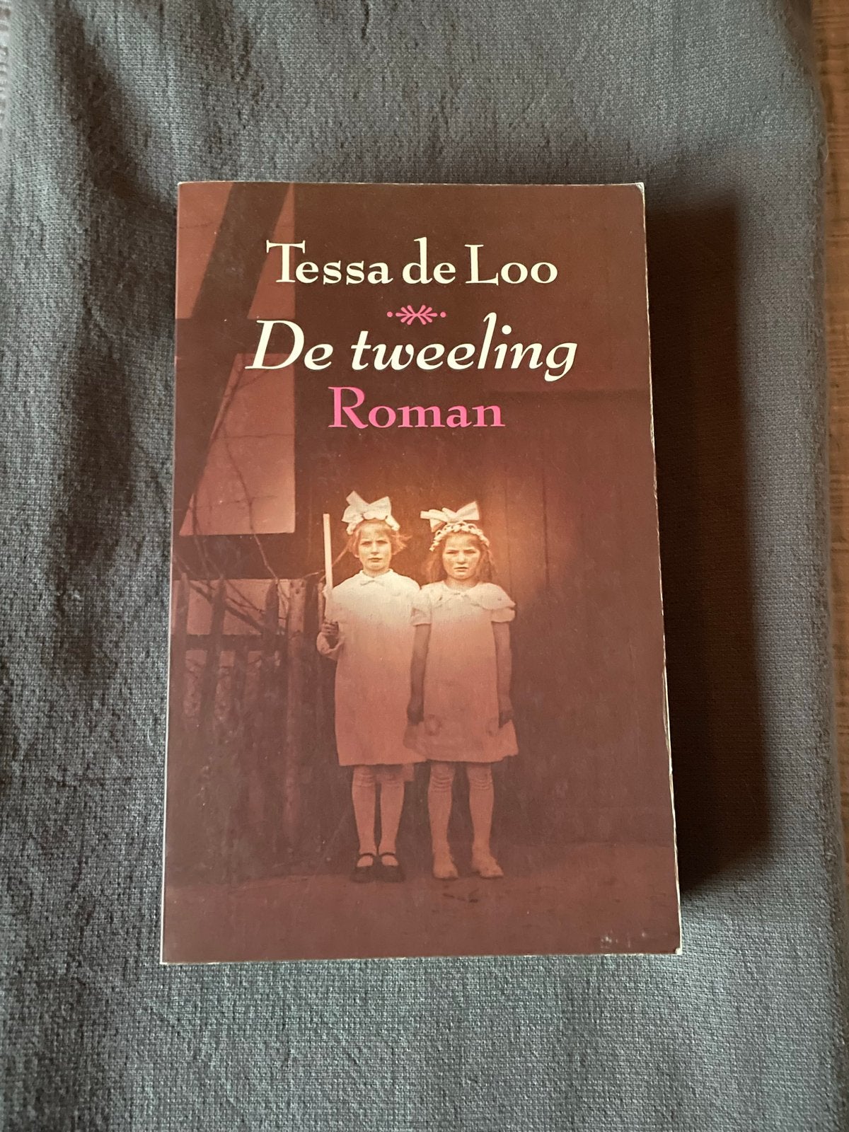 De Tweeling - Tessa de Loo (Roman), Ophalen of Verzenden, Gelezen, Nederland