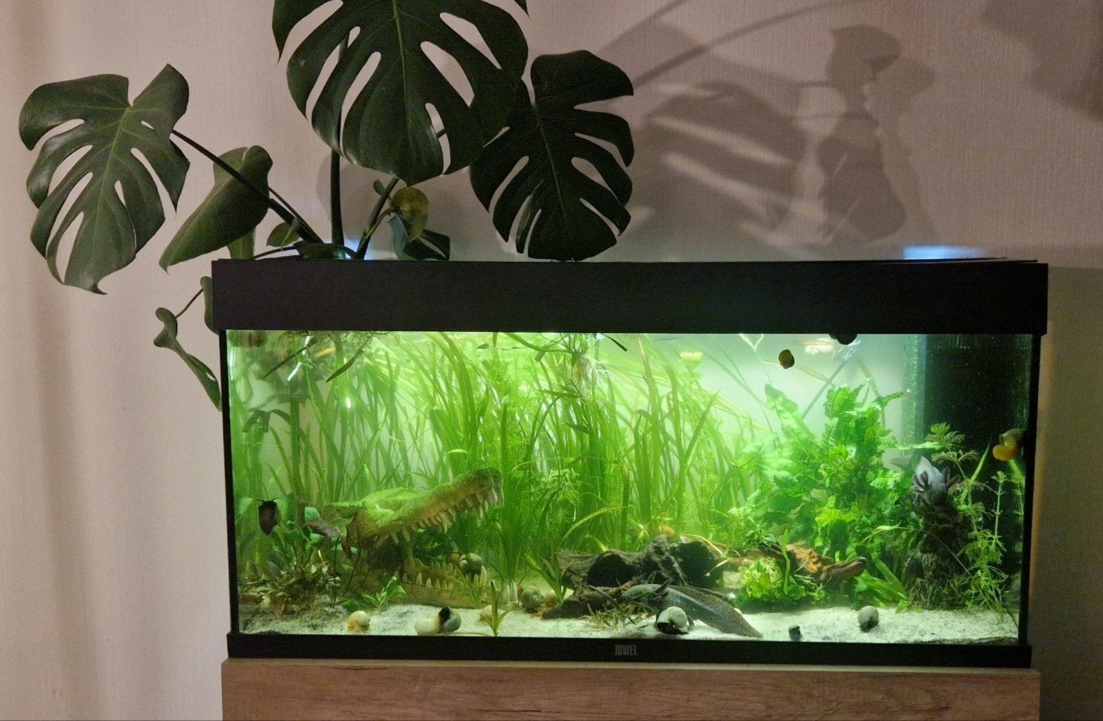juwel rio 180, Dieren en Toebehoren, Ophalen of Verzenden, Zo goed als nieuw