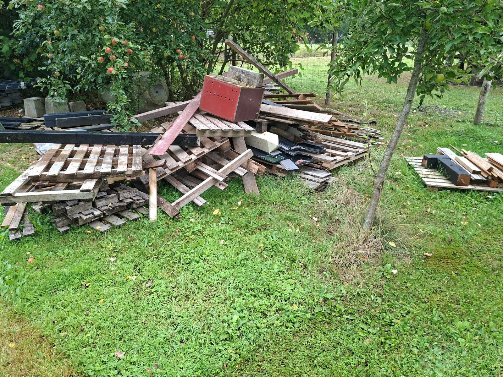 blank houten pallets en enkele geverfde planken, Doe-het-zelf en Verbouw, Hout en Planken, Ophalen, Gebruikt