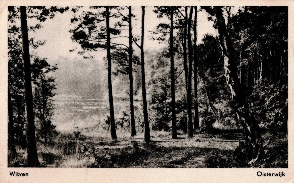 Oisterwijk – Witven. Gelopen Dordrecht 1955., Ophalen of Verzenden, 1940 tot 1960, Gelopen, Noord-Brabant