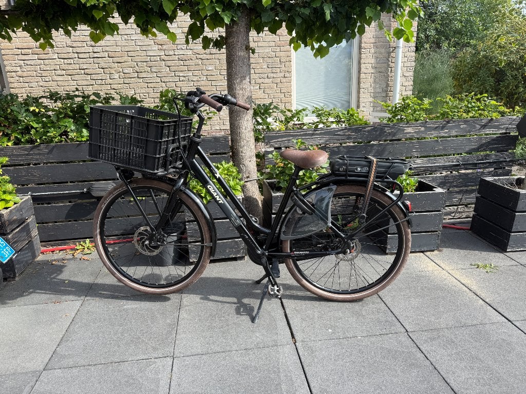 Giant Triple X E-bike  2022, Ophalen, Zo goed als nieuw, Giant