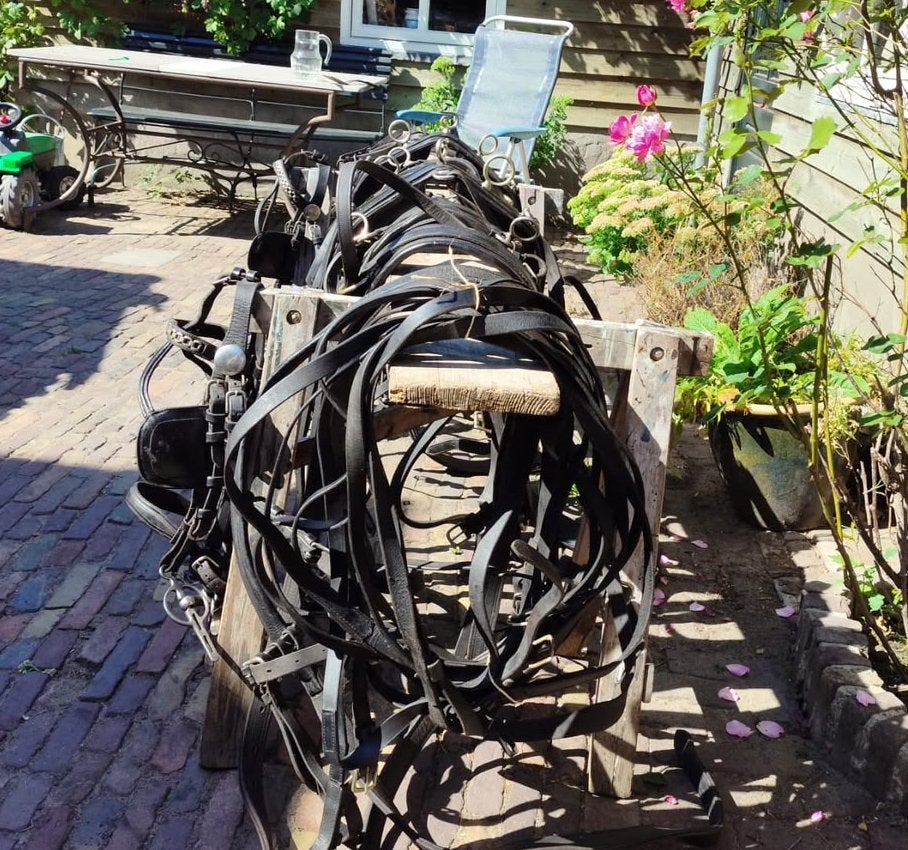 Tweespan pony rijtuig, maat Cob, zwart leder, Gebruikt, Overige typen, Pony