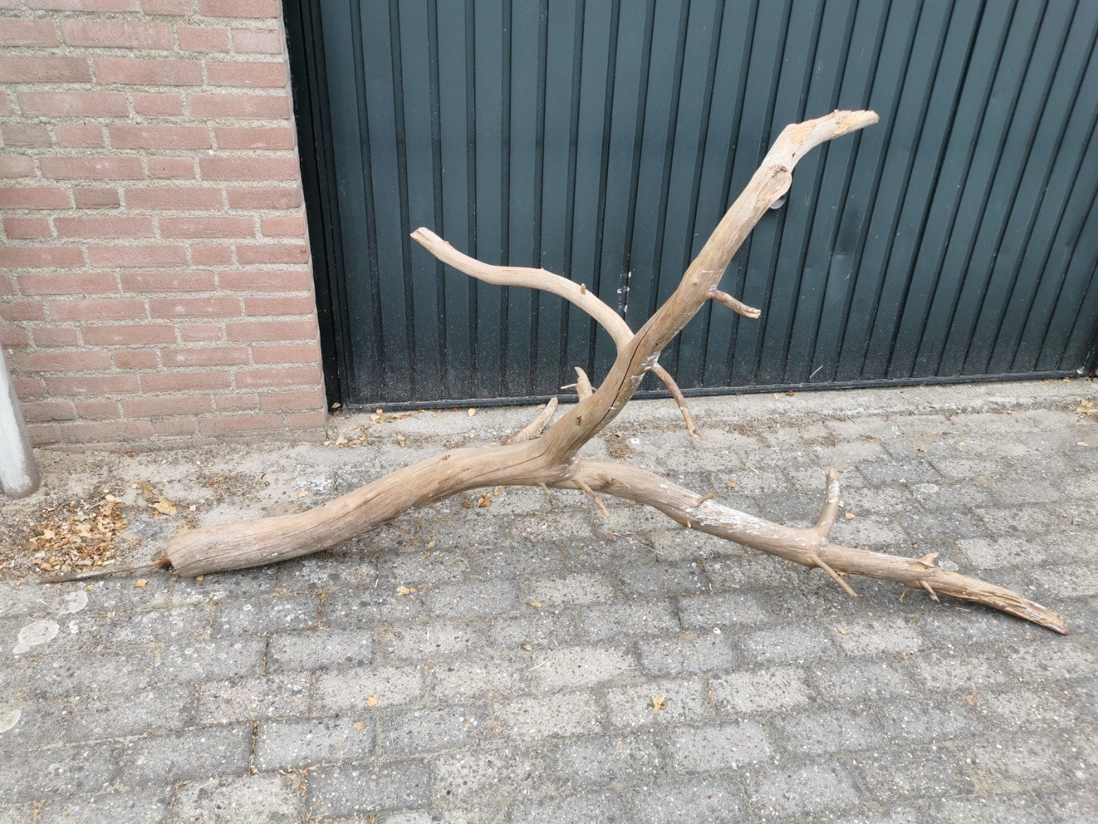 Tak voor in vogel foyere, Dieren en Toebehoren, Ophalen, Gebruikt, Hout, Vogelkooi