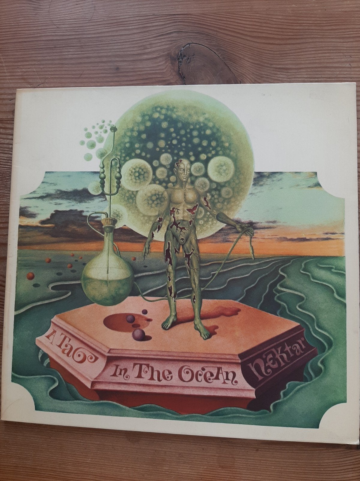 Nektar, Cd's en Dvd's, Ophalen of Verzenden, Zo goed als nieuw, 12 inch