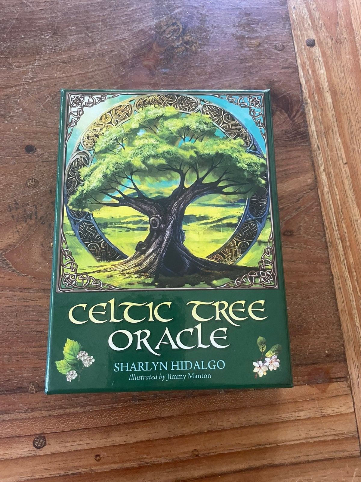 kaarten + boekje Celtic Tree Oracle - orakel Keltische bomen, Ophalen of Verzenden, Nieuw, Tarot of Kaarten leggen, Overige typen