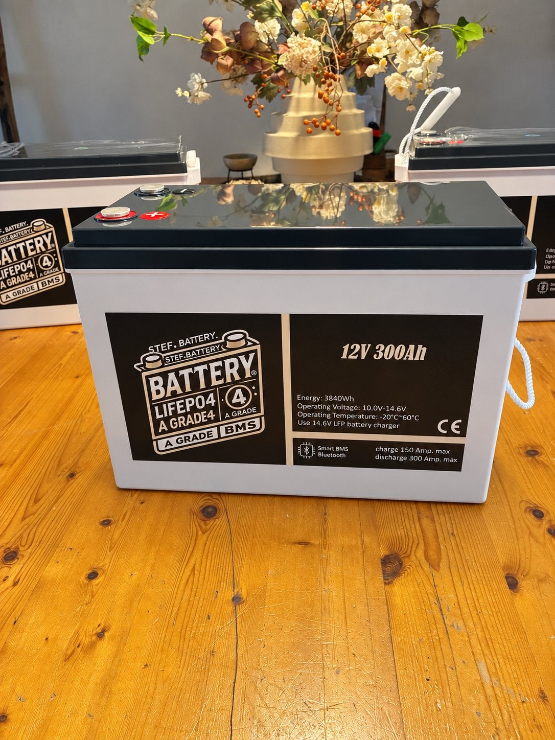 12V 300Ah PREMIUM LiFePO4 ACCU – SMART BMS + BLUETOOTH, Ophalen, Nieuw