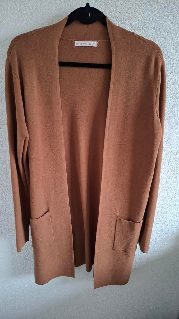 Studio Anneloes vest cognac maat S, Ophalen of Verzenden, Zo goed als nieuw, Maat 38/40 (M), Bruin