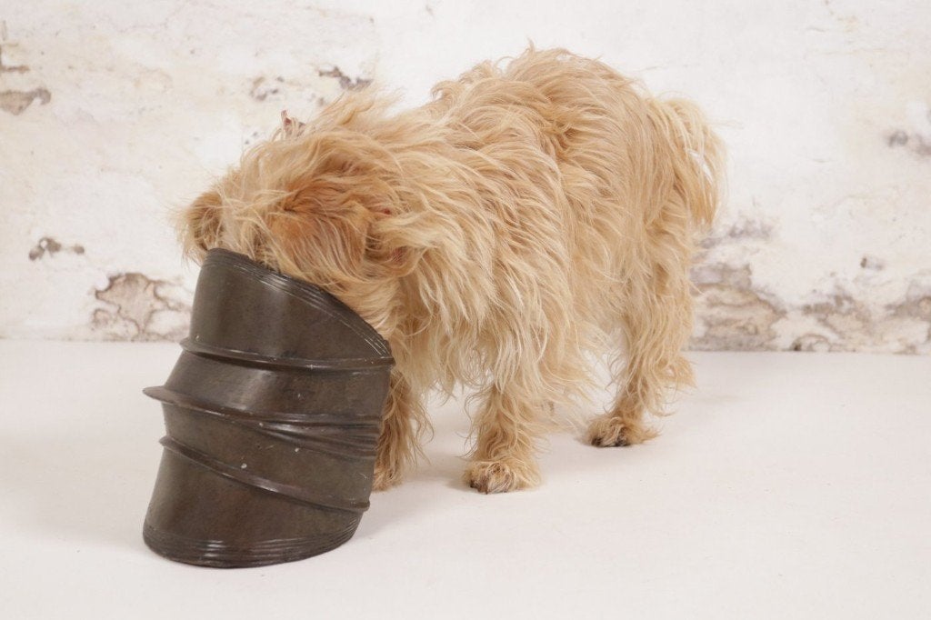 Antieke Koperen Ekonda Enkelband Mongo Congo, Ophalen, Sieraad, Bruin, Afrika