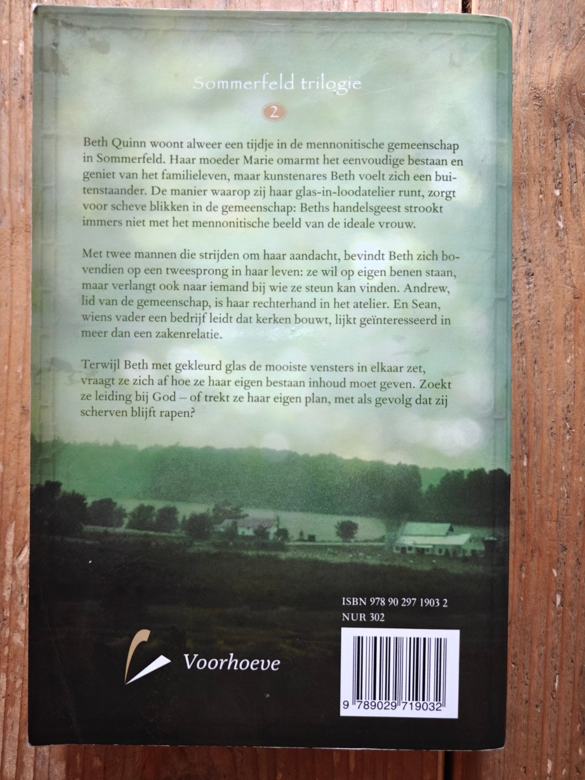 Scherven van geluk., Ophalen of Verzenden, Zo goed als nieuw, Groningen