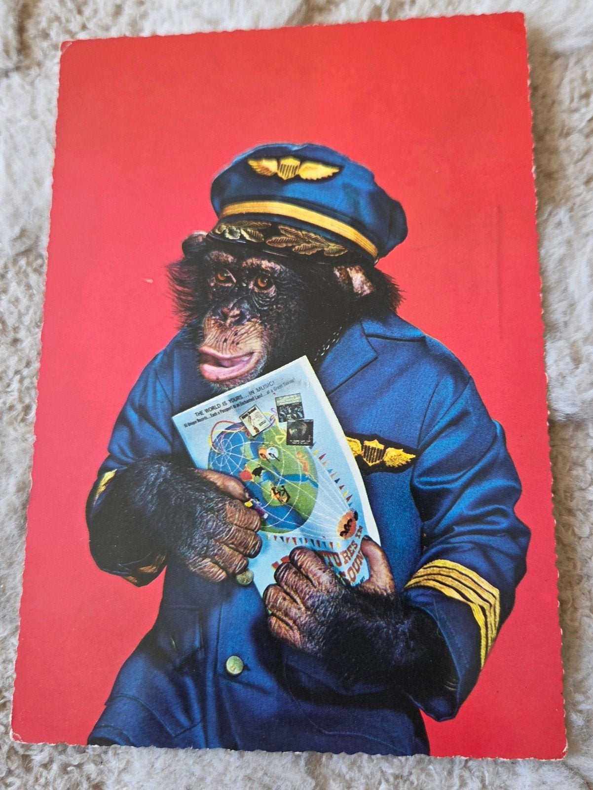 Vintage Ansichtkaart Aap Piloot - Humoristische Postkaart, Verzenden, 1960 tot 1980, Ongelopen, Kinderen