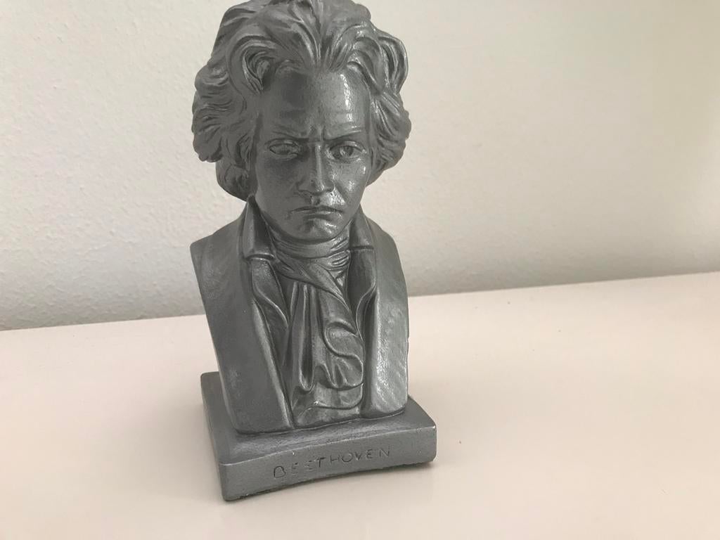 Beethoven beeld, Ophalen of Verzenden, Zo goed als nieuw, Mens