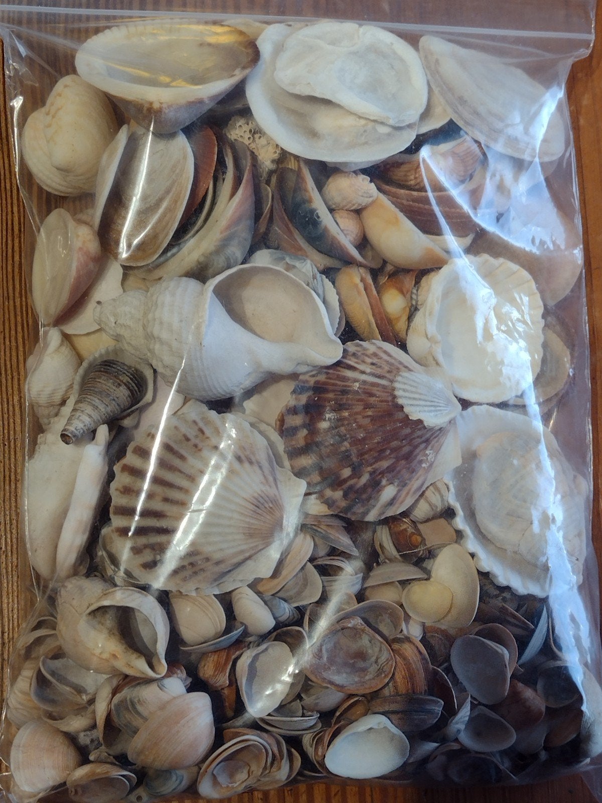 zak 1 kg. gemengde diverse schelpen, Ophalen, Natuurlijk materiaal, Knutselmateriaal, Beige
