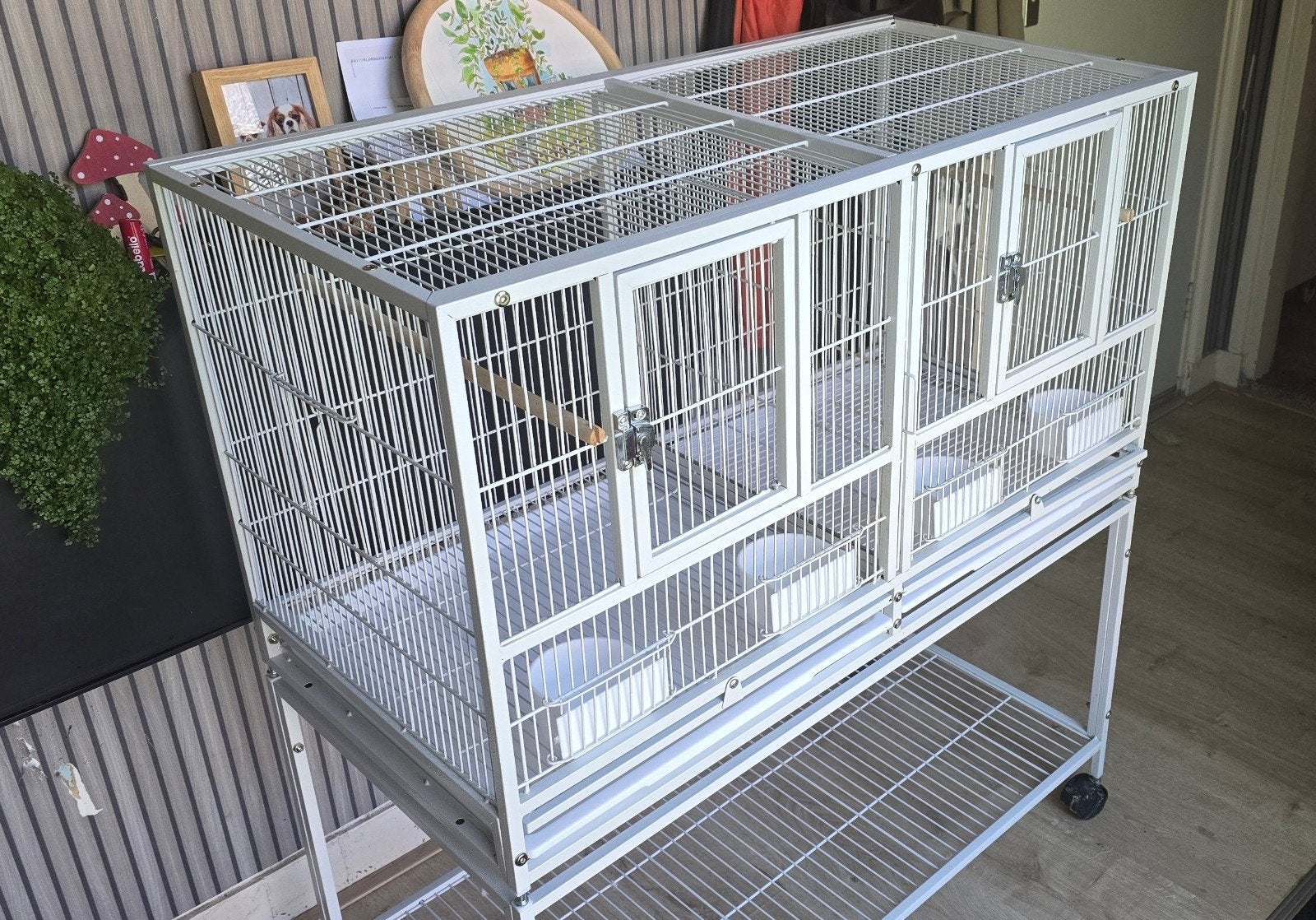 Grote dubbele vogelkooi, Dieren en Toebehoren, Ophalen, Gebruikt, Metaal, Vogelkooi