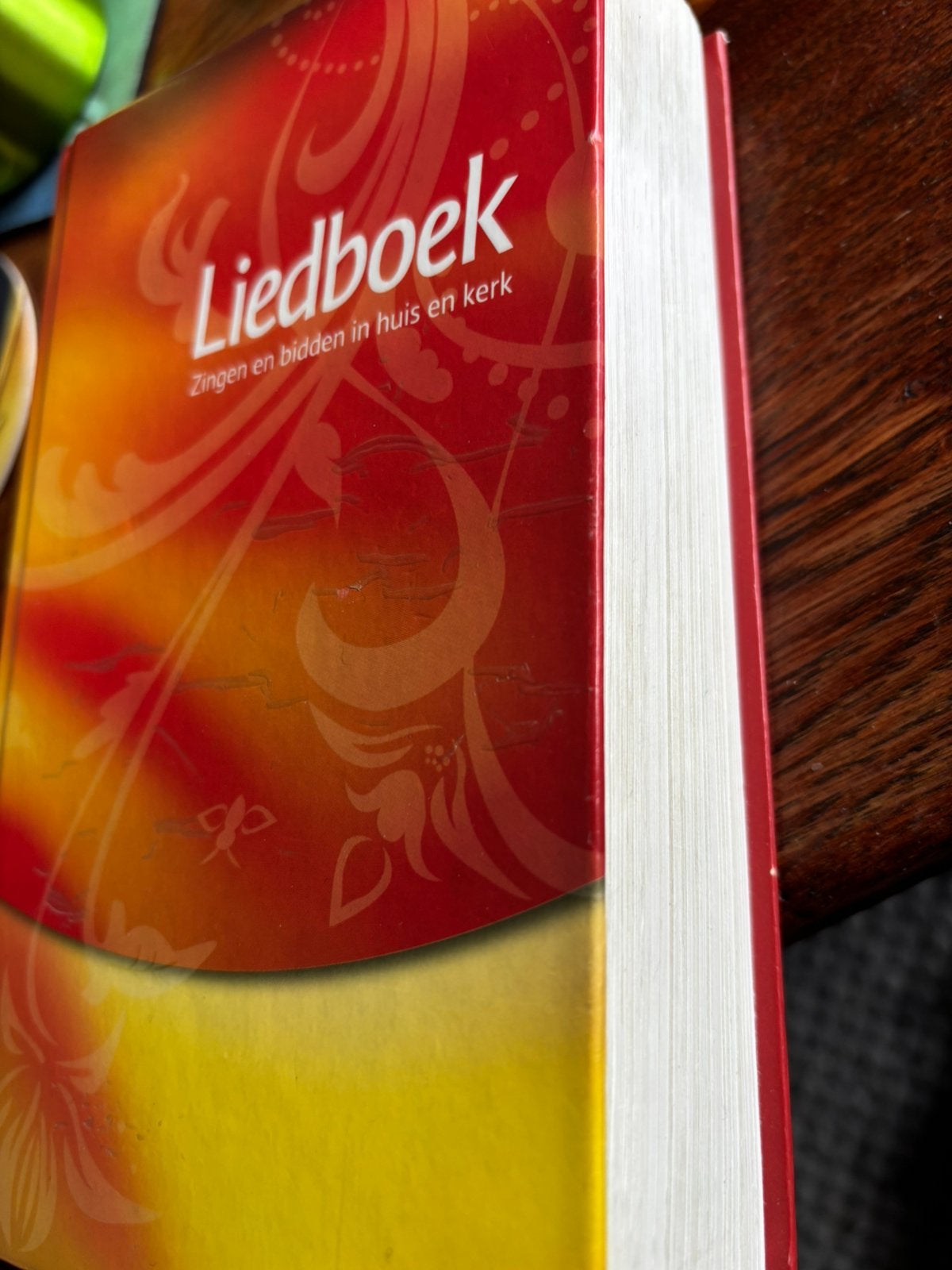 LIEDBOEK ZINGEN EN BIDDEN IN HUIS EN KERK 2013 ( zie foto’s), Boeken, Ophalen of Verzenden, Zo goed als nieuw, Christendom | Katholiek