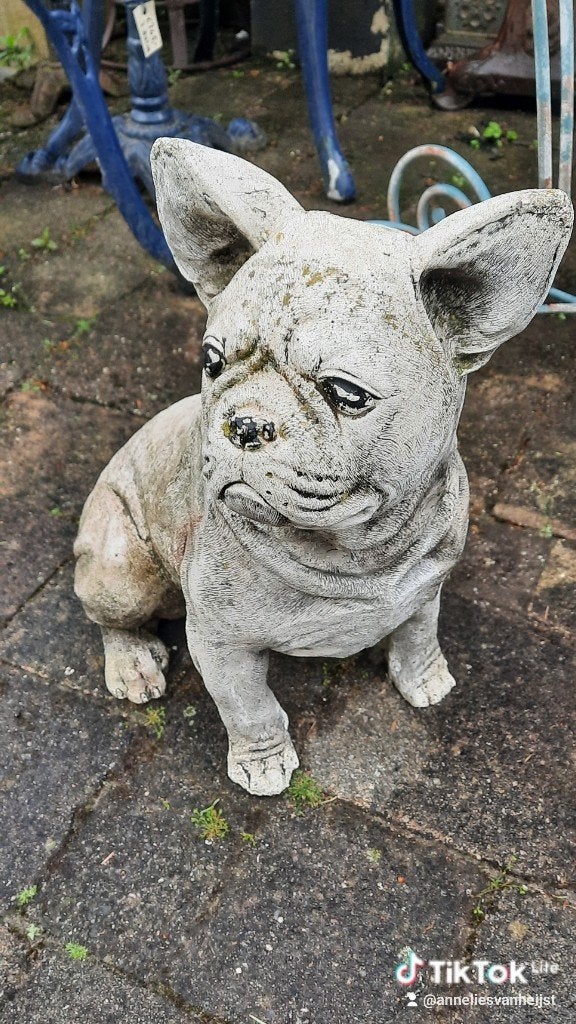 Betonnen Franse Bulldog Tuinbeeld - Gebruikt, Tuin en Terras, Tuinbeelden, Ophalen, Gebruikt, Beton, Dierenbeeld