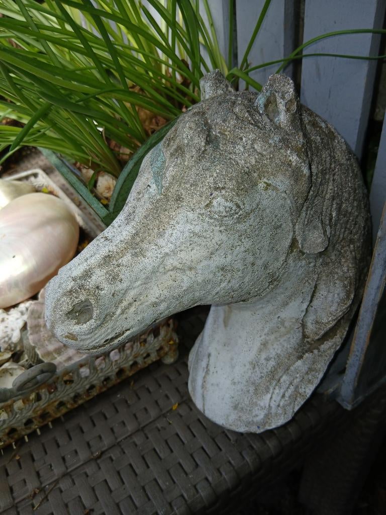 Betonnen paardenhoofd, Ophalen of Verzenden