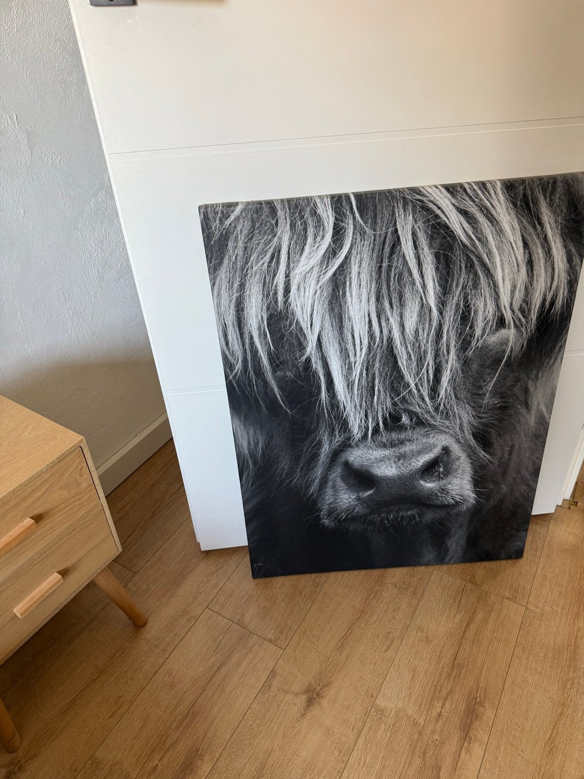Schilderij Schotse Hooglander Stier - Zwart-wit Canvas, Ophalen, Dieren, Print, Op houten frame