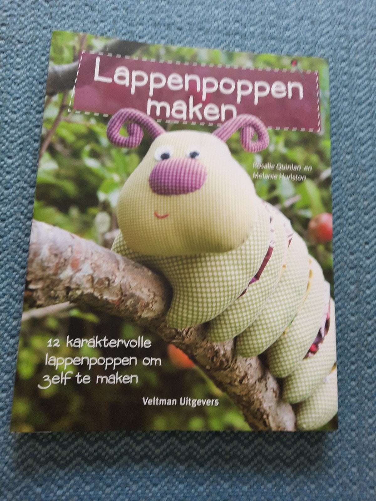 Lappenpoppen maken - 12 karaktervolle poppen, Ophalen of Verzenden, Nieuw, Poppen maken, Geschikt voor kinderen