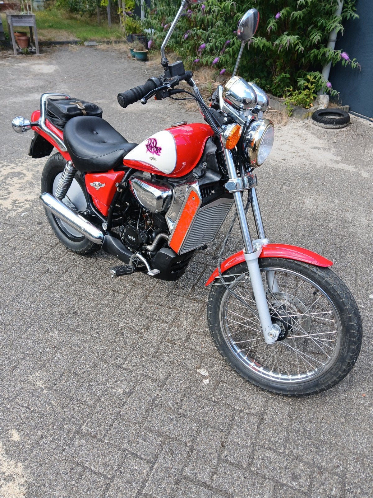 Aprilia red rose, Red rose, Red rose., Red rose, Ophalen