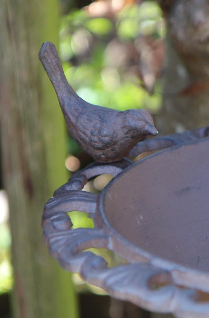 Vogelschaal, Vogelbad met vogeltje, gietijzer, hoge voet., Tuin en Terras, Vogelhuisjes en Vogelbaden, Robanjer, Nieuw, Ophalen of Verzenden