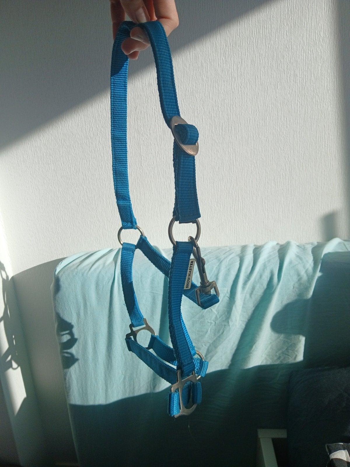mooi blauw halster maat shetlander!!, Shetlander/Mini, Ophalen of Verzenden, Zo goed als nieuw, Blauw