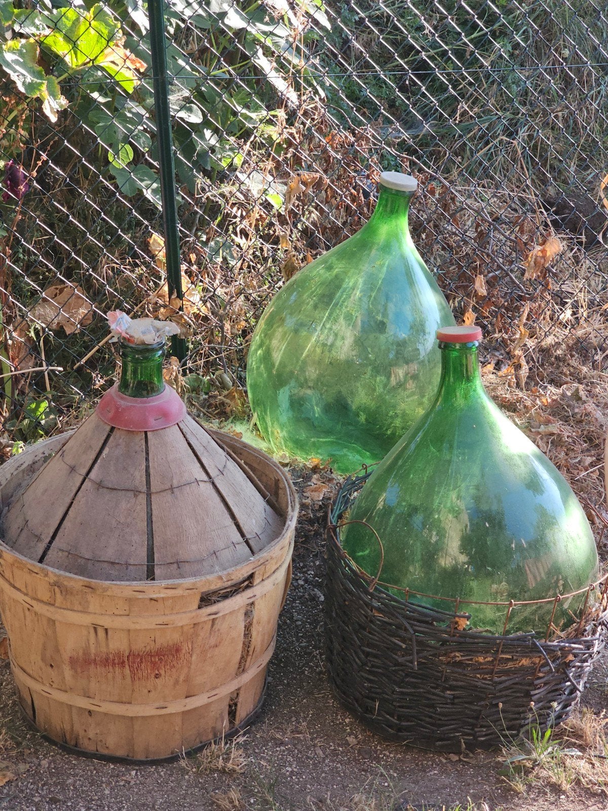 Originele vintage Italiaanse grote gistflessen, Glas, Ophalen, Gebruikt, Handgemaakt