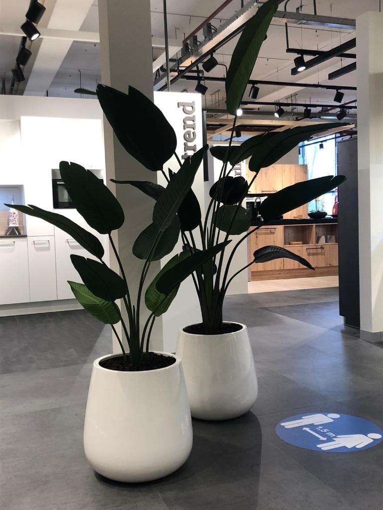 145 Cm Kunst Strelitzia, Ophalen, Binnen, Groen, Kunstplant