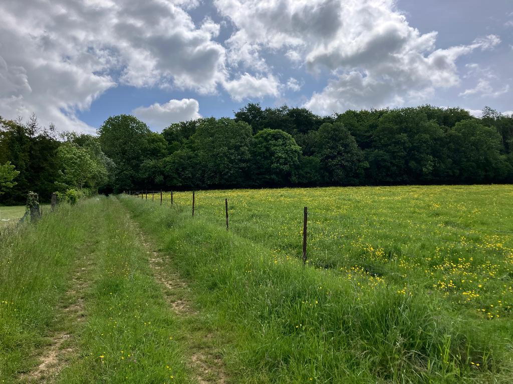 Bougrond van 2 hectare, aan de rand van het bos, Huizen en Kamers, Buitenland, Frankrijk, Kavel of Perceel, Landelijk, Verkoop zonder makelaar