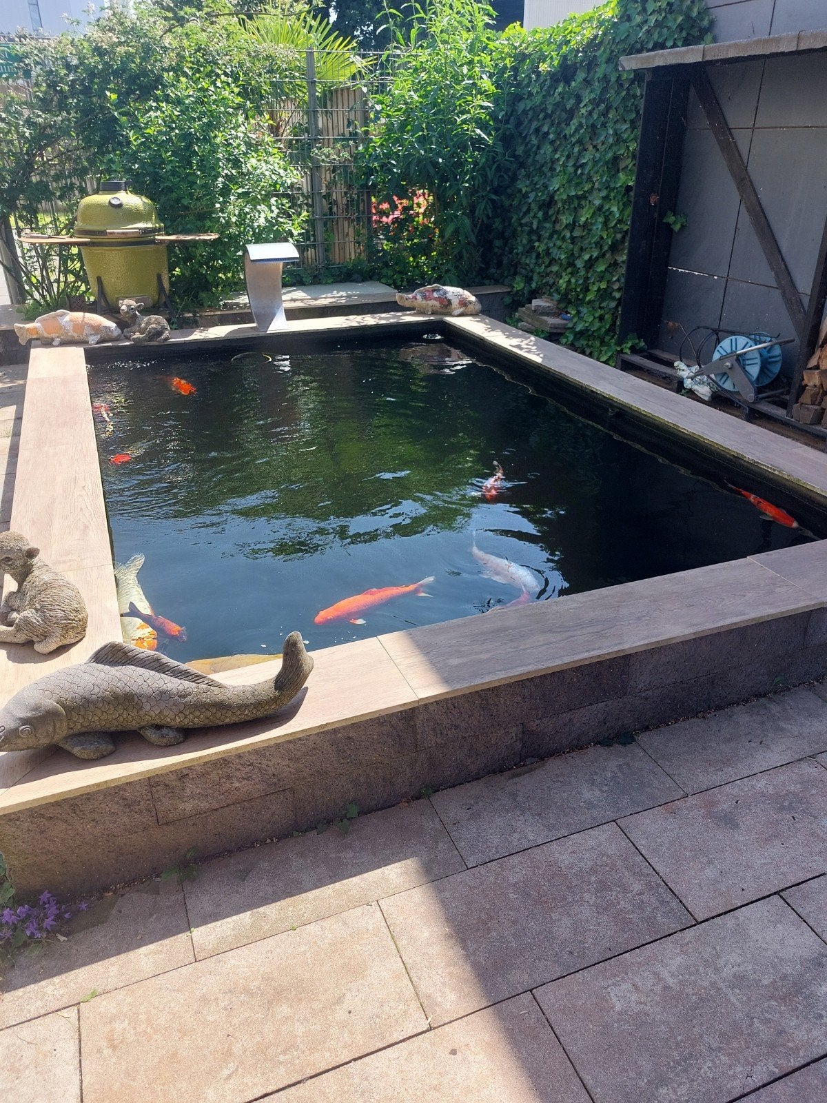 Mooie complete hdpe koi vijver met 20 kwaliteit koi, Ophalen