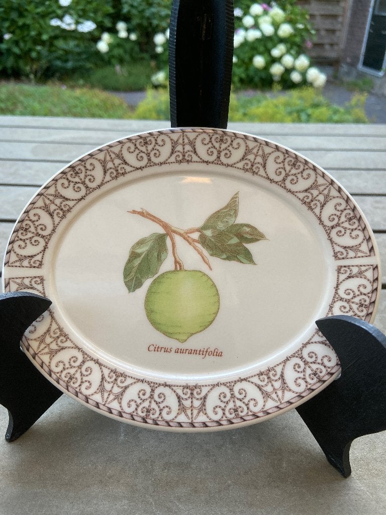 Wedgwood Sarah’s Garden, Overige typen, Ophalen of Verzenden, Zo goed als nieuw, Overige stijlen
