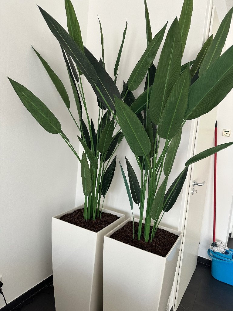 Plantenbakken, Tuin en Terras, Ophalen, Kunststof, Vierkant, Minder dan 25 cm