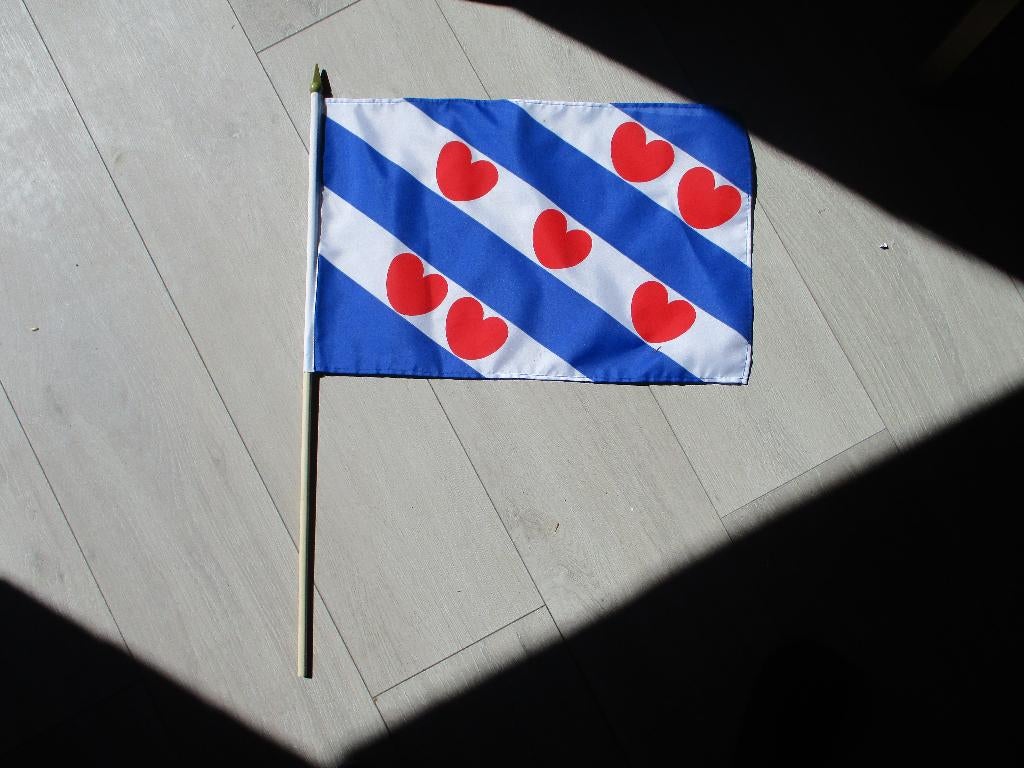 friese vlag, Ophalen of Verzenden, Zo goed als nieuw