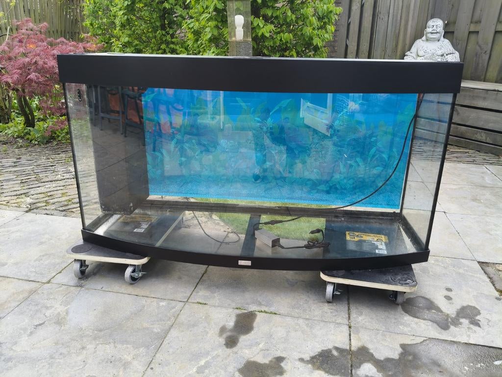 Juwel Vision 260, Dieren en Toebehoren, Vissen | Aquaria en Toebehoren, Ophalen, Gebruikt, Leeg aquarium
